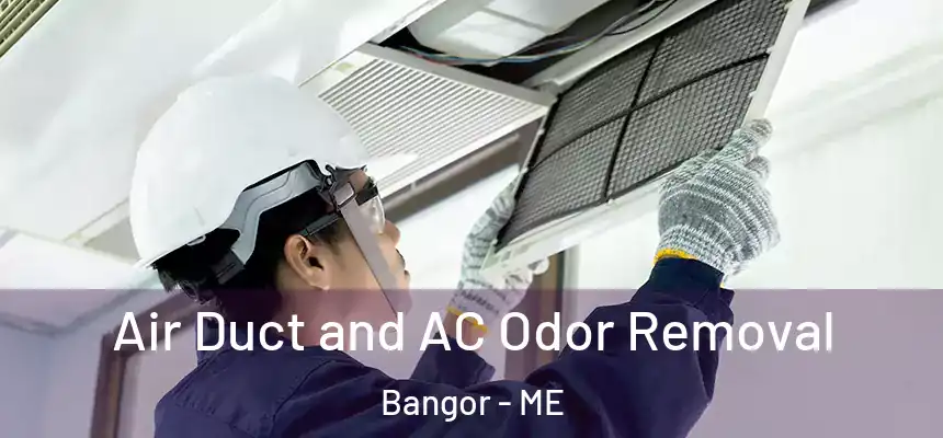  Air Duct and AC Odor Removal Bangor - ME