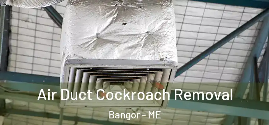 Air Duct Cockroach Removal Bangor - ME