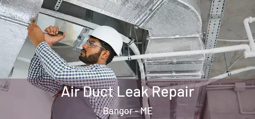  Air Duct Leak Repair Bangor - ME