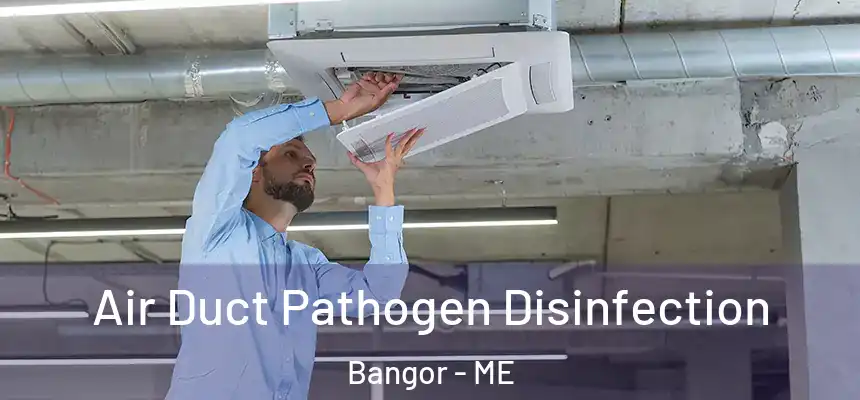  Air Duct Pathogen Disinfection Bangor - ME
