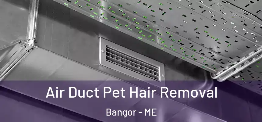 Air Duct Pet Hair Removal Bangor - ME
