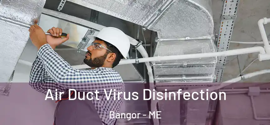  Air Duct Virus Disinfection Bangor - ME