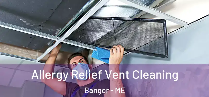 Allergy Relief Vent Cleaning Bangor - ME