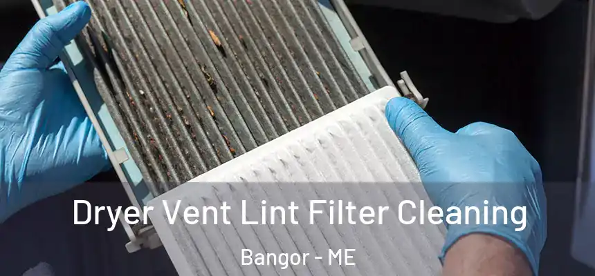 Dryer Vent Lint Filter Cleaning Bangor - ME