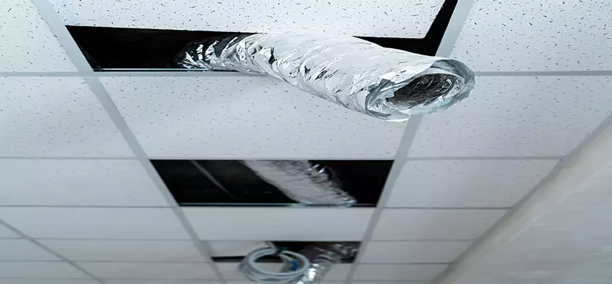 Our Air Duct Pet Hair Removal Services in Bangor, ME