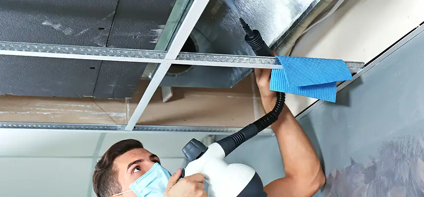 Our Air Duct Rodent Removal Services in Bangor, ME