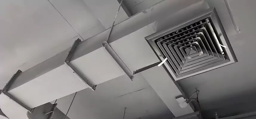 Restorative Allergy Relief Vent Cleaning – Coil, Blower & Housing Detail in Bangor