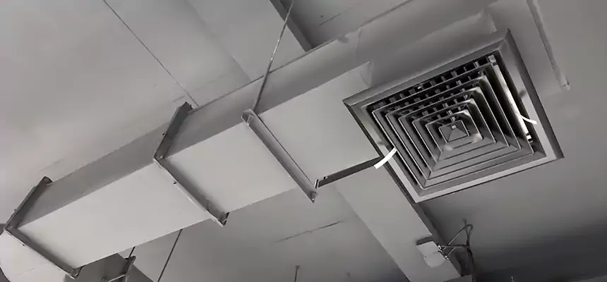 Our Pest Removal From Ducts Services in Bangor, ME