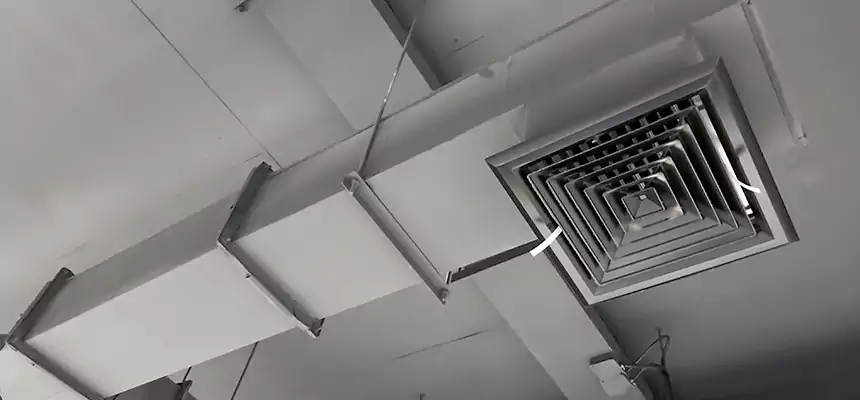 Our Rodent Droppings In Vents Services in Bangor, ME