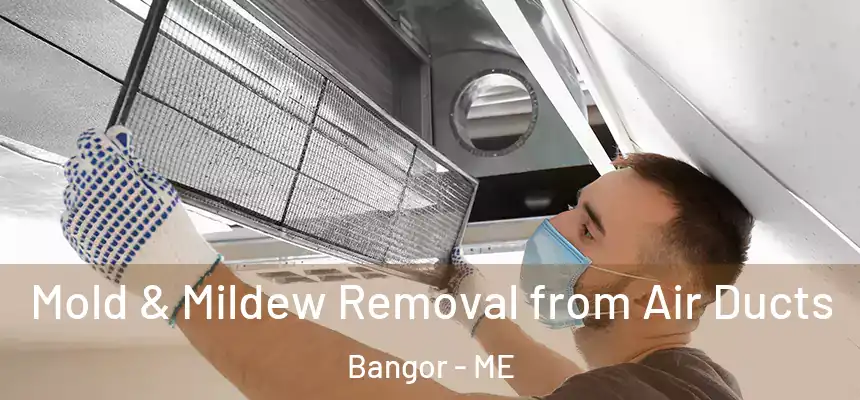 Mold & Mildew Removal from Air Ducts Bangor - ME