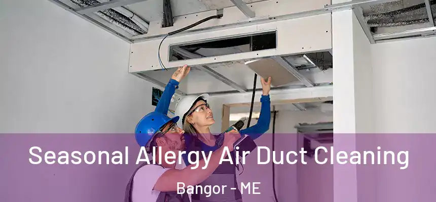 Seasonal Allergy Air Duct Cleaning Bangor - ME