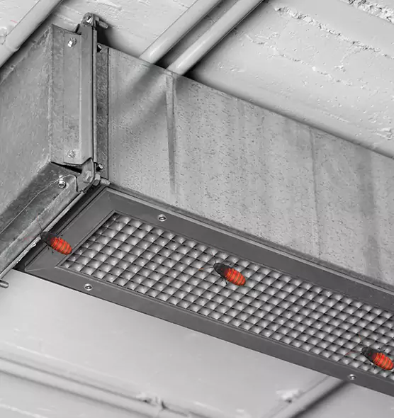 About Air Duct Cockroach Removal in Bangor, ME