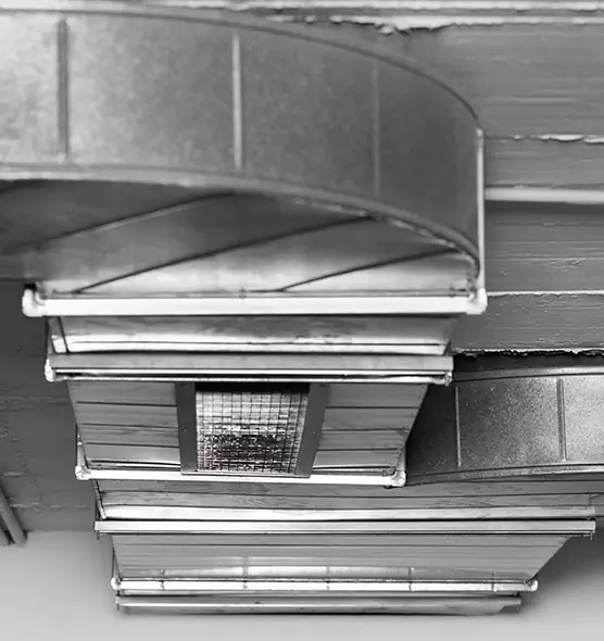 Professional Air Duct Pet Hair Removal in Bangor, ME