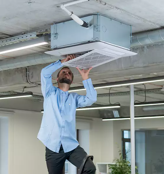 Advanced Rodent Droppings In Vents in Bangor, ME