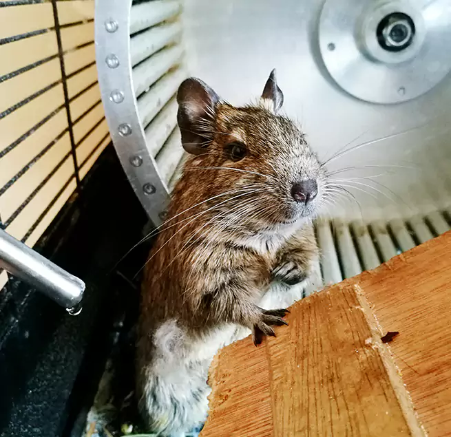 Why Homeowners & Businesses Trust Us Bangor, ME?