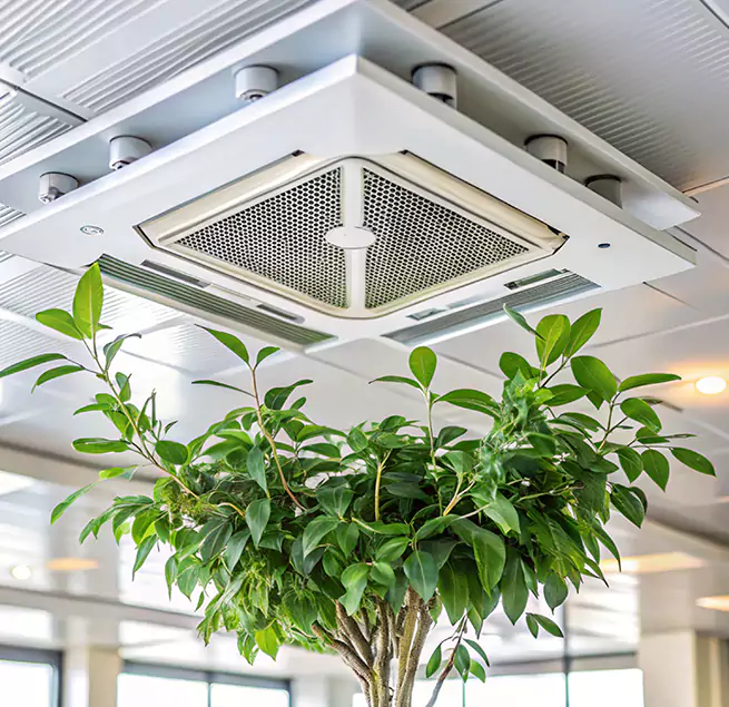 Why Homeowners & Businesses Trust Us in Bangor, ME?