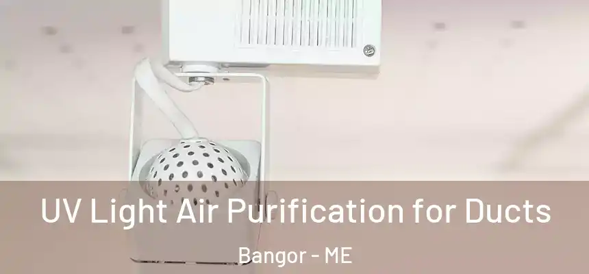UV Light Air Purification for Ducts Bangor - ME